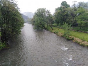 CEHOTINA MAJ 2019