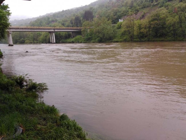 DRINA MAJ 2019