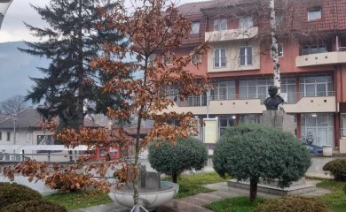 Мили српски бадњаче, ти наш стари рођаче!