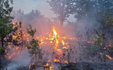 Пожар на подручју између Кремина и Цапа, оштећена електромрежа