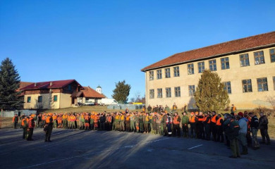 Вукови измакли ловцима на Челебићима