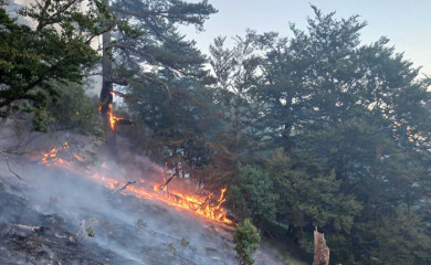 Цвијановићева упутила писмо Конаковићу, Хелезу и Форту: Хитно и без одгађања одобрите долазак хеликоптера из Србије