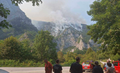 Затражена међународна помоћ за гашење пожара