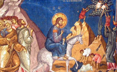 Данас Цвијети
