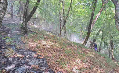Ситуација на пожаришту у НП "Сутјеска" повољна, ватрогасци у приправности