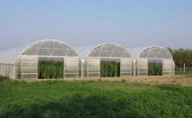 Raspisan Javni poziv za dodjelu 20 plastenika