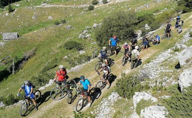 Info dan o procesu certifikacije i standardizacije objekata pogodnih za bicikliste