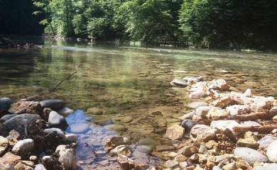Izvučeno beživotno tijelo nepoznatog muškarca iz rijeke Tare