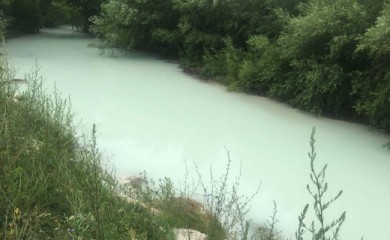 Inženjer TE "Pljevlja" odgovoran za pomor ribe u Ćehotini