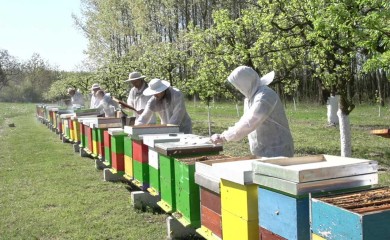 Општина помаже пчеларима