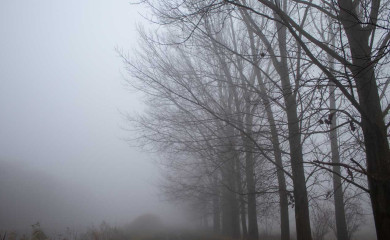 Данас прохладно и магловито