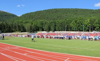 МОСИ се највјероватније одлажу