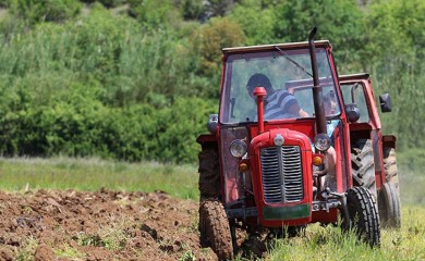 У четвртак представљање Правилника о подстицајима у пољопривреди