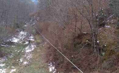 Настављају се радови на раскресивању трасе далековода