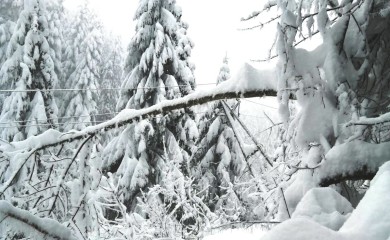 Снијег узроковао нове кварове на далеководима