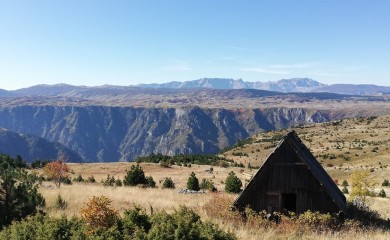 Парк природе "Тара" повезује плато кањона са ријеком и уводи ред у област рафтинга