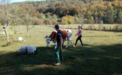 Додик најавио градњу куће за породицу Бадњар из Фоче