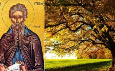 Данас Михољдан