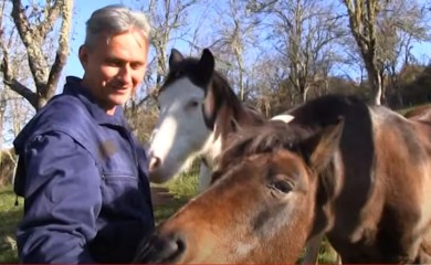 Одјек Миланове доброте