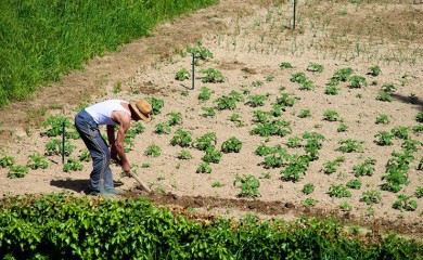 У Фочи презентација Правилника о подстицајима у пољопривреди