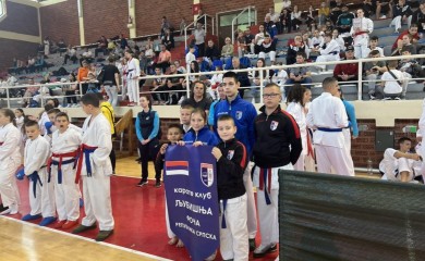 Каратистима "Љубишње" десет медаља у Вишеграду