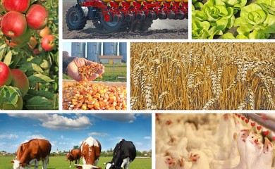 Расписан јавни позив за капиталне инвестиције у пољопривредној производњи