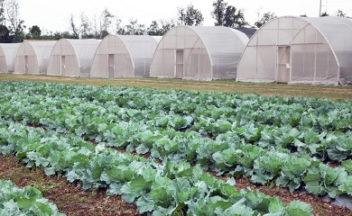 У Фочи презентација Правилника о подстицајима у пољопривреди