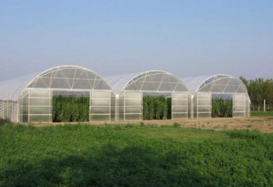 Raspisan Javni poziv za dodjelu 20 plastenika