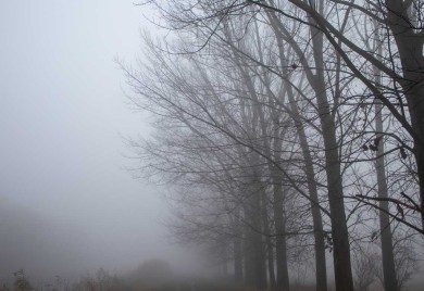 Данас прохладно и магловито