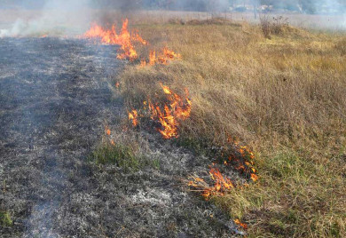 Повреда при паљењу корова- ватра активирала експлозивну направу
