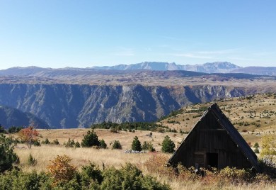Парк природе "Тара" повезује плато кањона са ријеком и уводи ред у област рафтинга