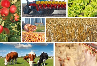 Расписан јавни позив за капиталне инвестиције у пољопривредној производњи