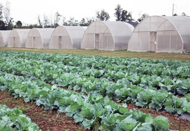 У Фочи презентација Правилника о подстицајима у пољопривреди