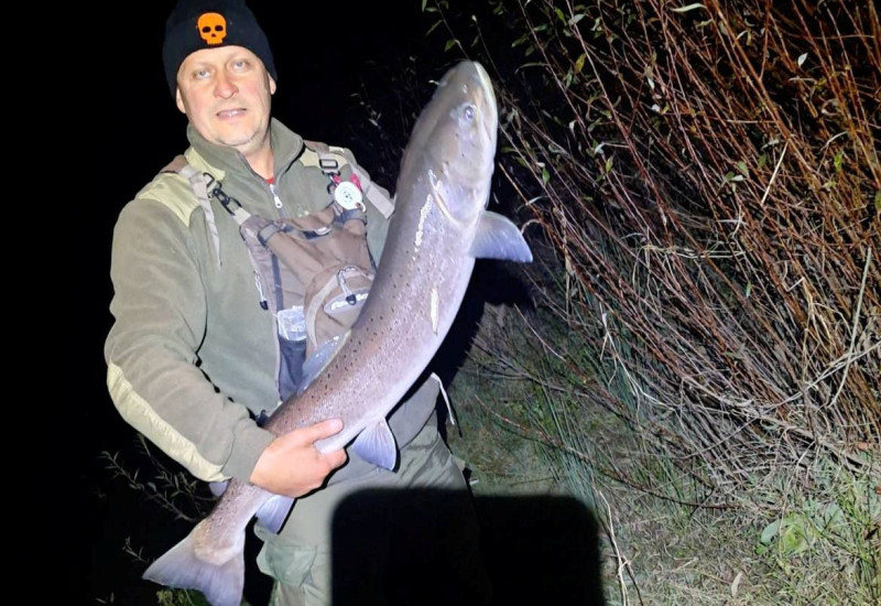 Оборен рекорд Хуко хуко купа: Уловљено 17 младица, највећа преко метар