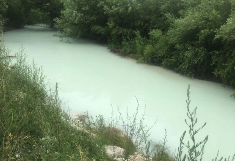 Inženjer TE "Pljevlja" odgovoran za pomor ribe u Ćehotini