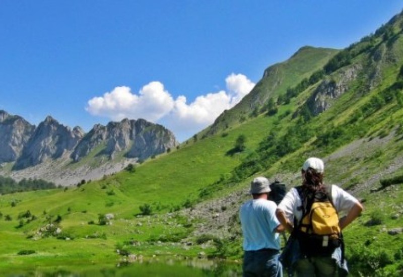 "Foto dan" u Foči
