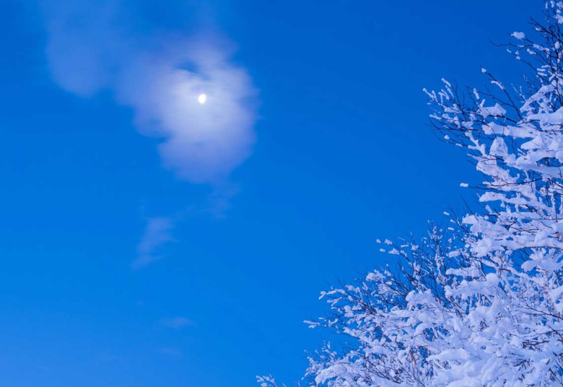 Претежно ведро и прохладно