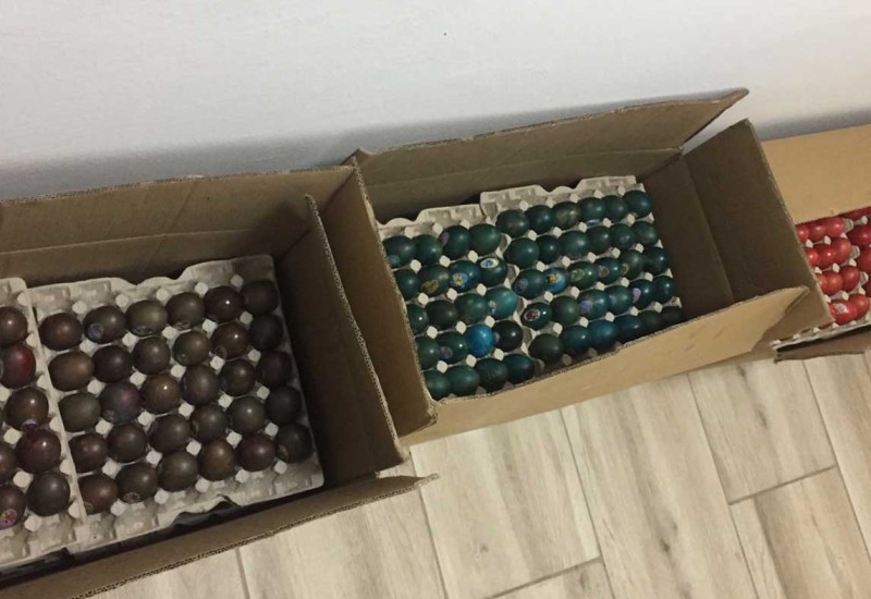 Центар за социјални рад подијелио 130 корнета јаја