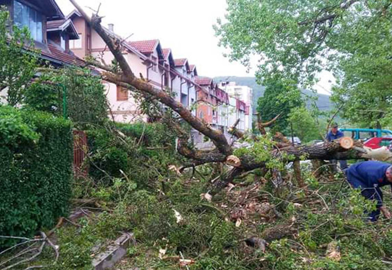 Вјетар обарао стабла