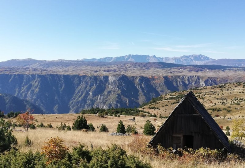 Парк природе "Тара" повезује плато кањона са ријеком и уводи ред у област рафтинга