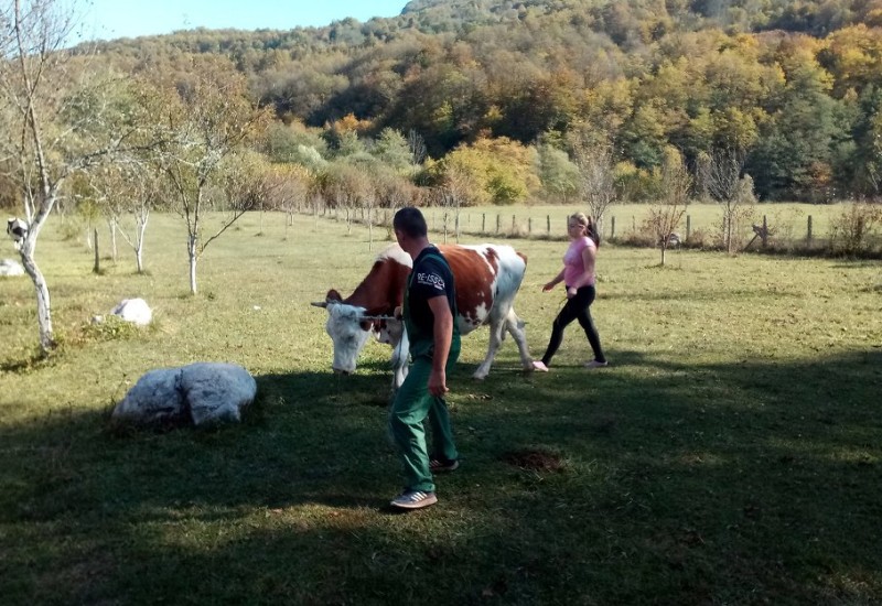 Додик најавио градњу куће за породицу Бадњар из Фоче