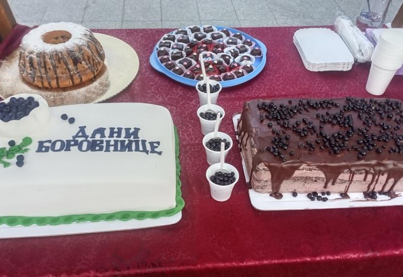 „Дани боровнице“ у Фочи