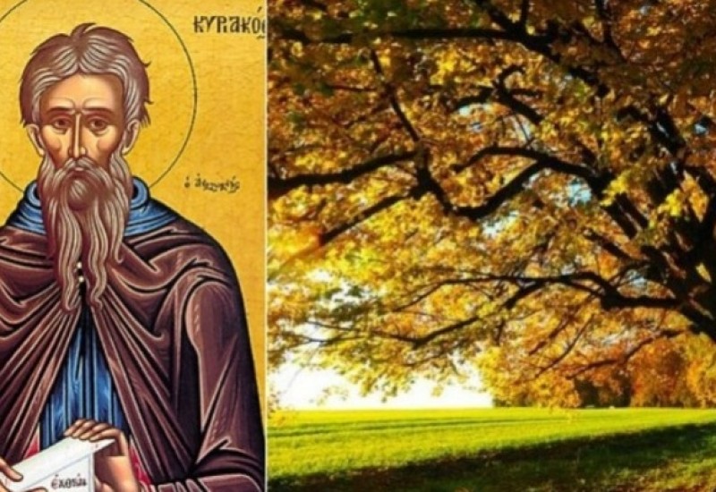 Данас Михољдан