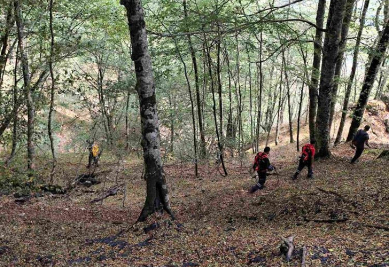 Мирнија ситуација на пожариштима у НП "Сутјеска"