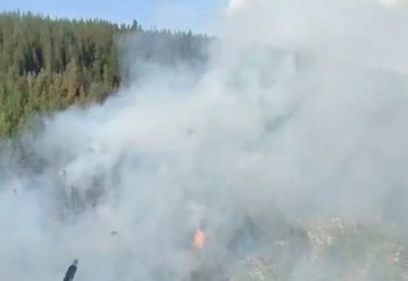 Пожар у кањону Таре код села Мештревац