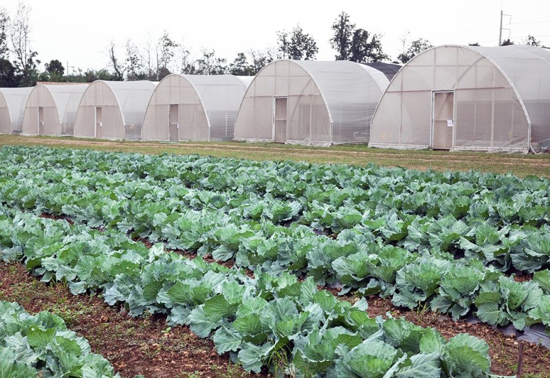 У Фочи презентација Правилника о подстицајима у пољопривреди